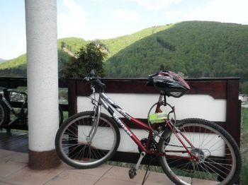 Gasthof Viktoria